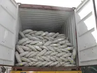 kawat duri silet razor wire surabaya sidoarjo 8