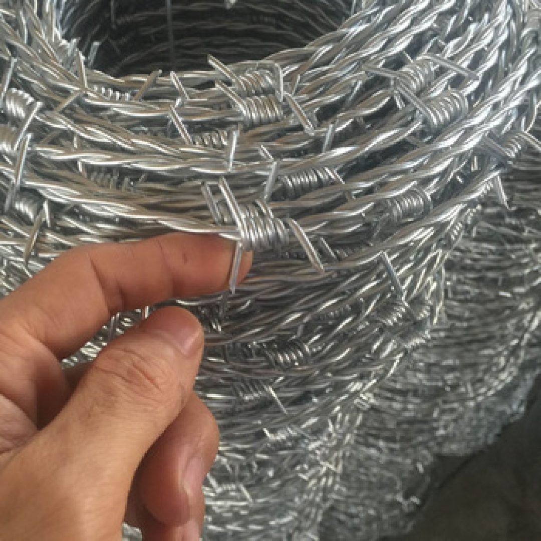 kawat duri galvaniz galvanis barbwire sukses dinamika